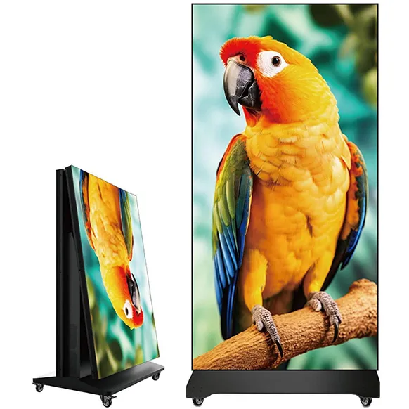 960*1920mm Indoor Poster Screen